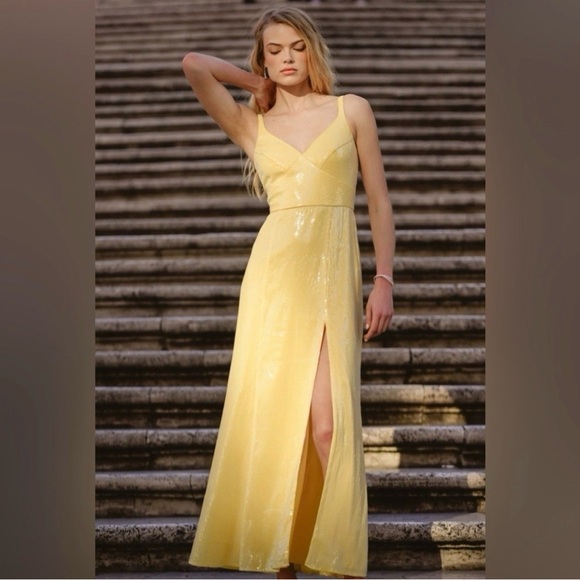 🔥 NWT Anthropology Hutch Mikayla Yellow Sequin Maxi Dress Size 6 - Picture 4 of 15